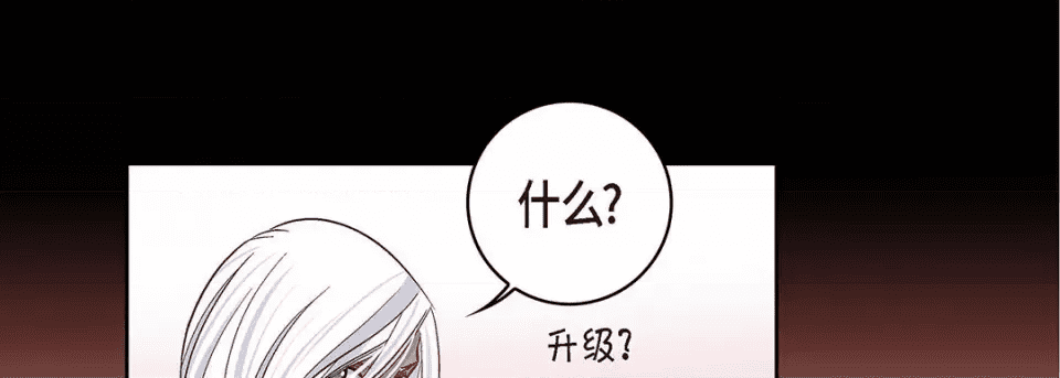 第217页