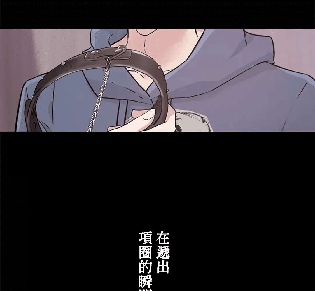 第205页